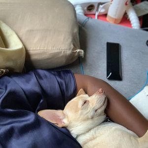 Meet your Posher, Ender